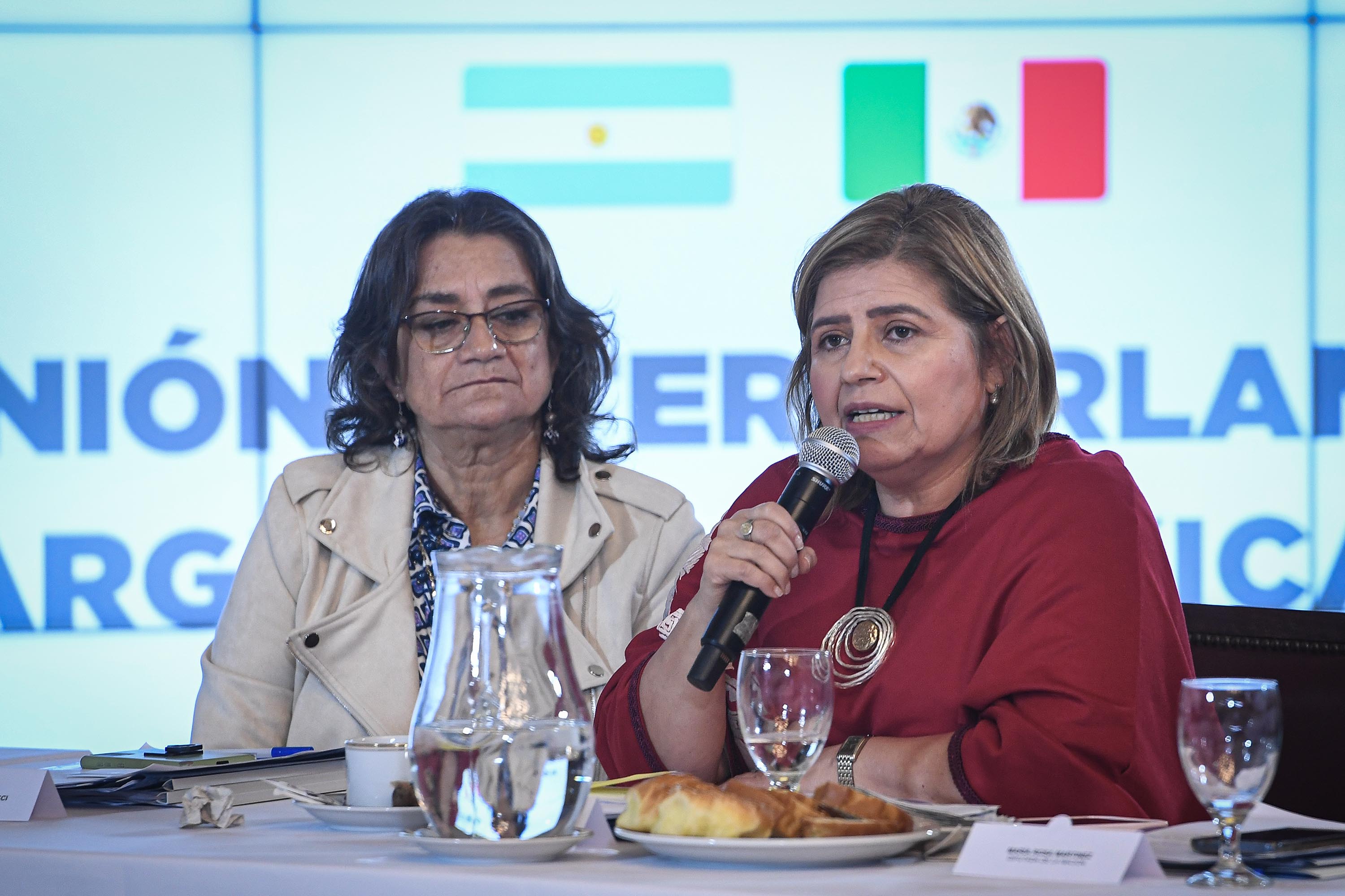 VI Reunión Interparlamentaria Argentina- Mexicana,