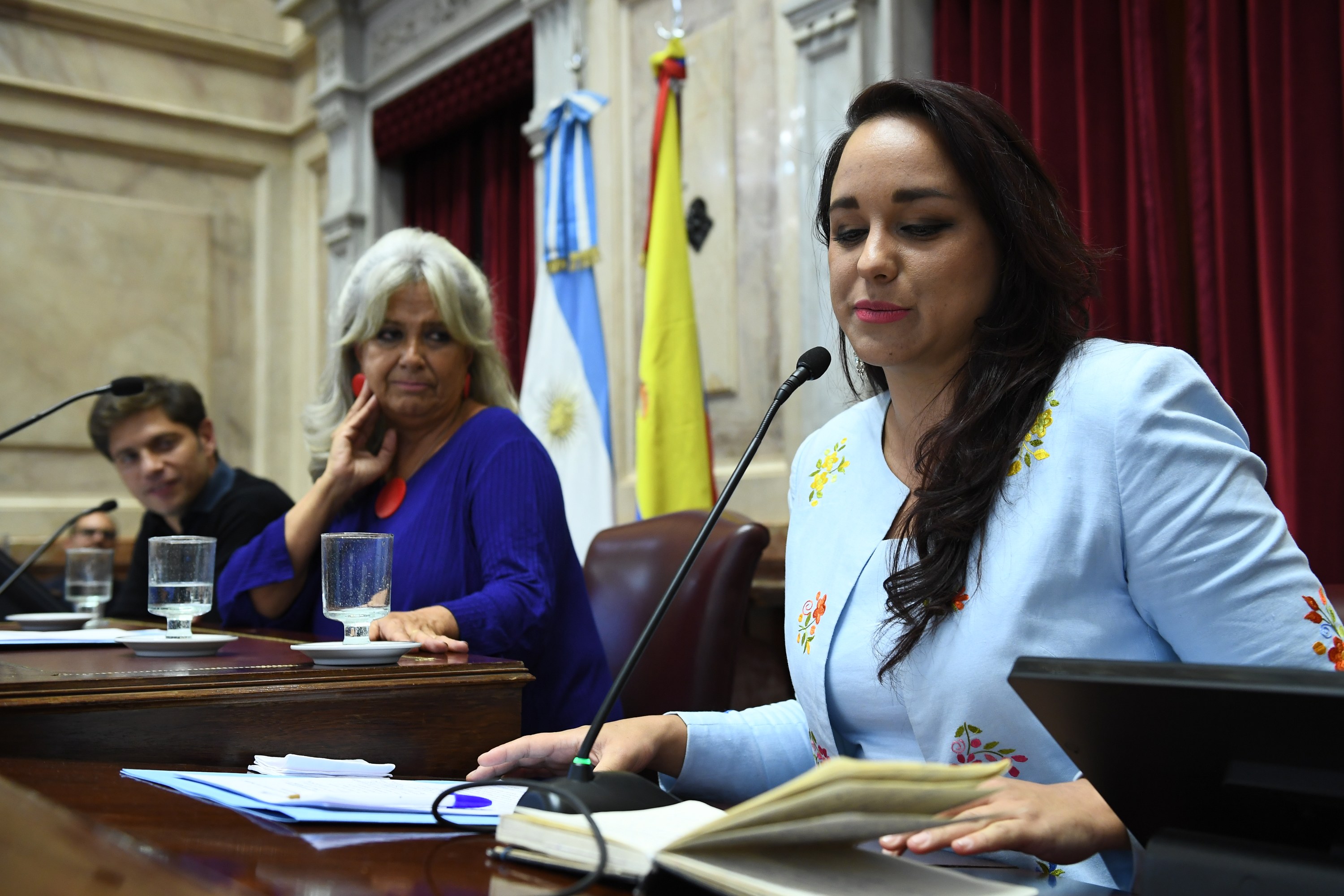Por iniciativa de la senadora María Inés Pilatti V