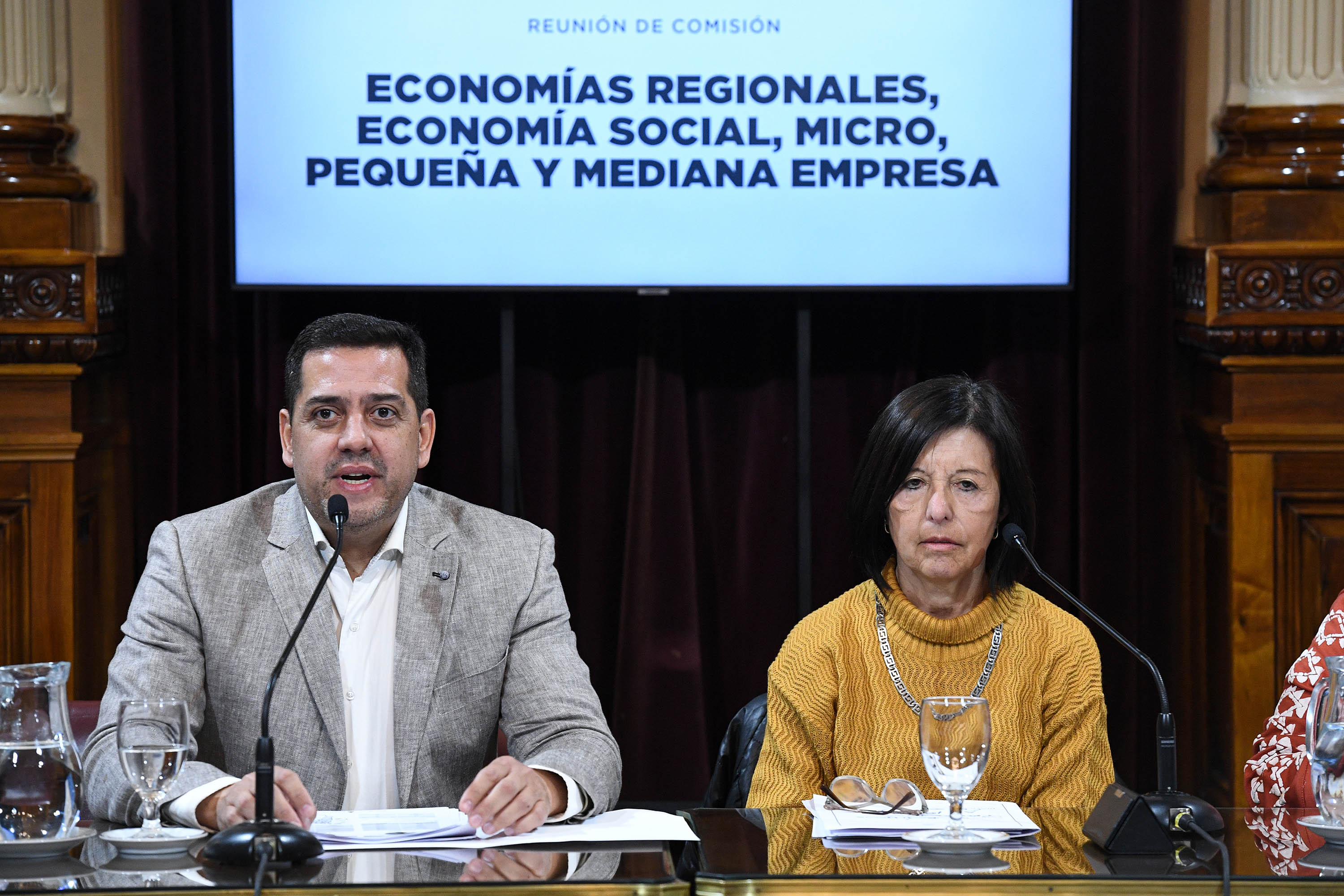 La Comisión de Economías Regionales, Economía Soci