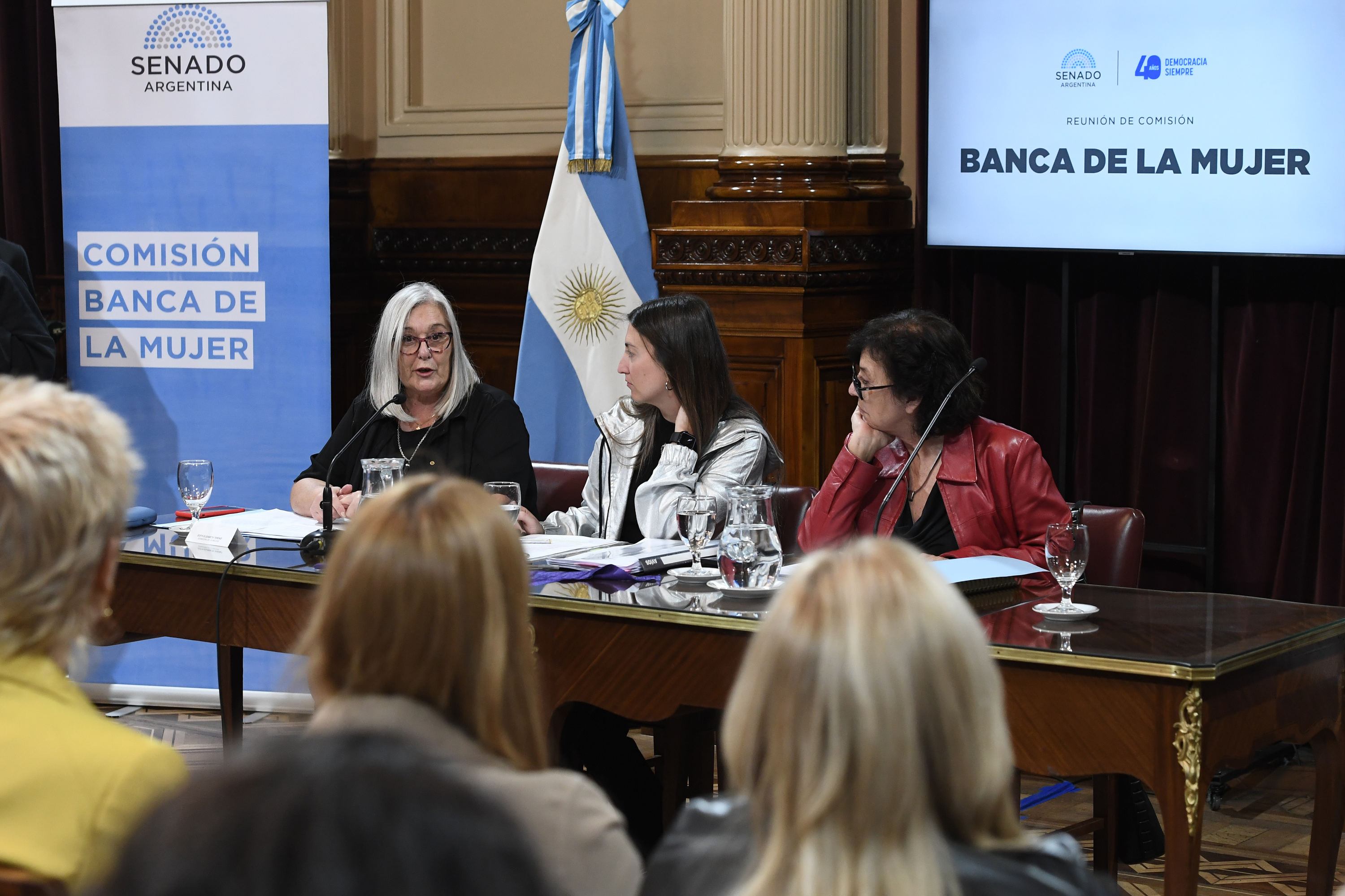 Comisión Banca de la Mujer. Foto: Luciano Ingaramo